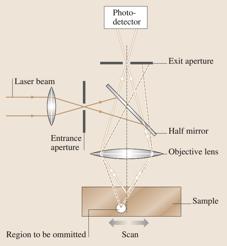 激光扫描共聚焦显微镜（LSCM）